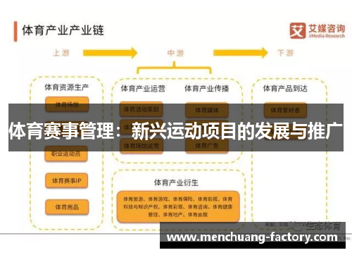 体育赛事管理：新兴运动项目的发展与推广