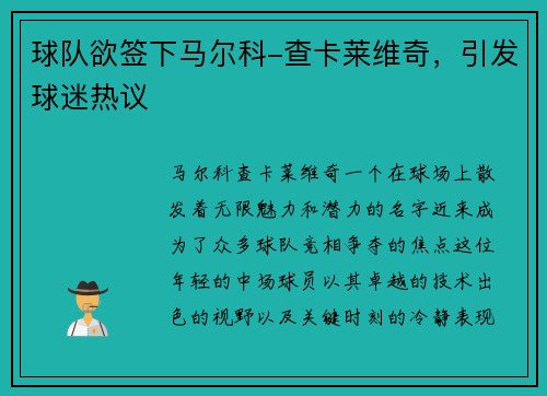 球队欲签下马尔科-查卡莱维奇，引发球迷热议